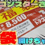 【#遊戯王】ドラゴンスターさんの8500円福袋開封してみました