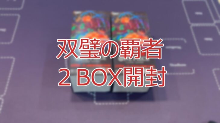 【ワンピースカード】双璧の覇者　２BOX開封