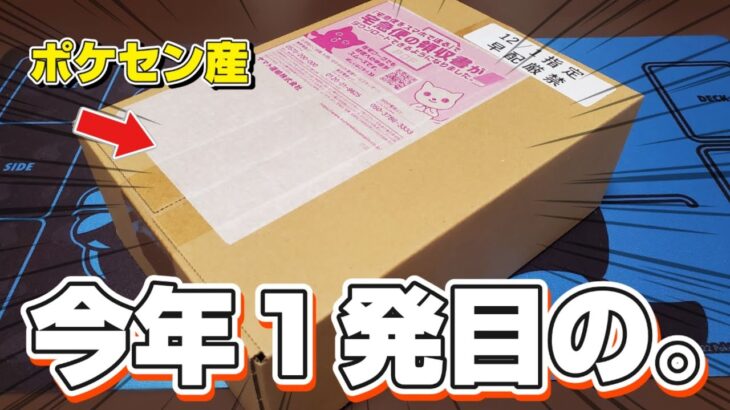 【ポケカ】新年１発目のBOX開封はポケモンセンター産のこれだ！！！