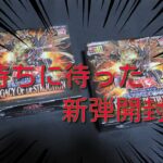 #遊戯王 新弾開封【レガシーオブデストラクション】１BOX開封！