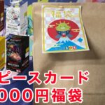 【ワンピース】未開封BOX2種確定の１万６千円福袋を開封！！