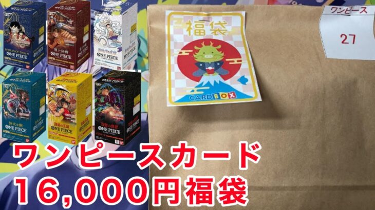 【ワンピース】未開封BOX2種確定の１万６千円福袋を開封！！