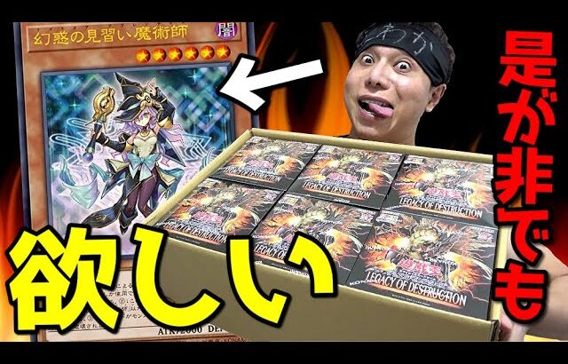 【遊戯王】本日発売の新弾「LEGACY OF DESTRUCTION」を１カートン開封した結果ｯ・・内容が熱過ぎてワンピカード買ってる場合じゃねぇぞコレ！！！！！！！！！！！！！！