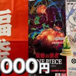 ONE PIECEカード福袋　この内容で15000円はお得中毒すぎるでしょう🉐#カード開封