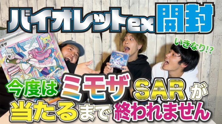 【ポケモンカード】ミモザSAR当てるまでバイオレットex無限開封したら破産したんだが。。。