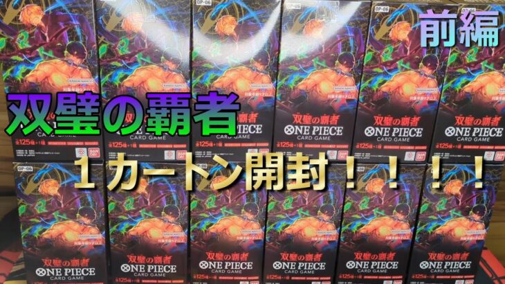 双璧の覇者１カートン開封！！！【前編】#onepiece #ワンピースカード #開封動画 #双璧の覇者