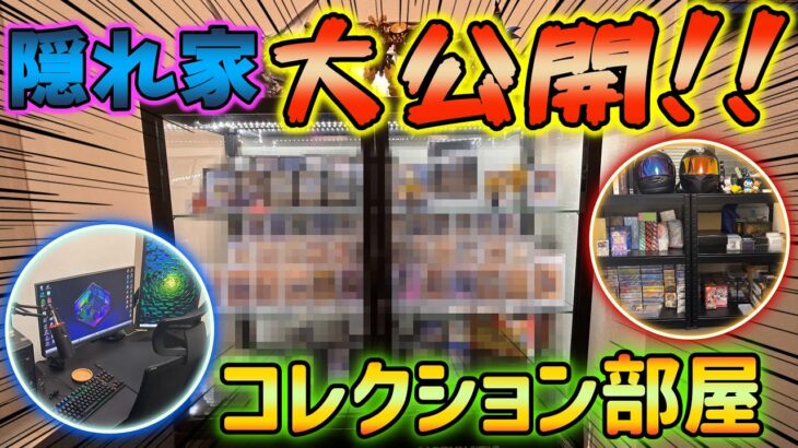 趣味部屋完成!?シングル・未開封コレクション大公開!!#遊戯王 #ポケモンカード #デュエルマスターズ #コレクション