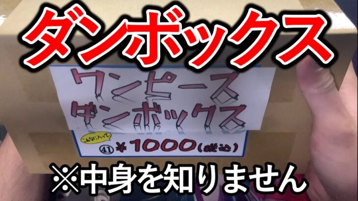 詳細不明のワンピース　ダンボックスを買ってみたので開封してみた　　【ワンピースカード？】