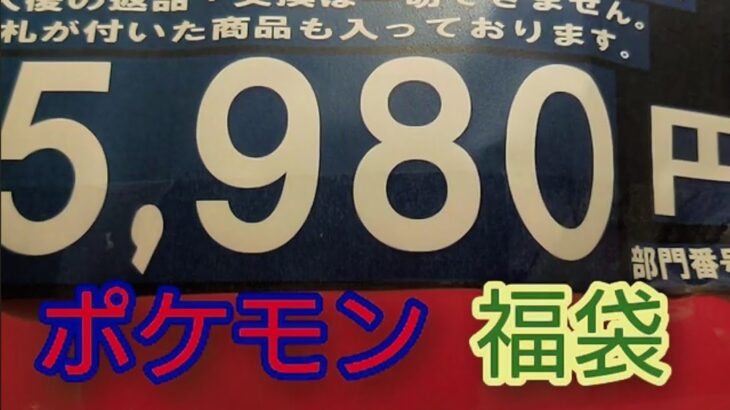 【ポケモン】お楽しみ袋(福袋)開封中身のわからない若干闇袋感はありますよ♪