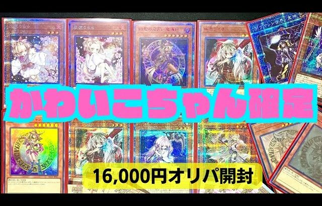 【遊戯王】かわいこちゃん確定オリパを剥く！