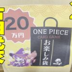 ２０万円のワンピースカード福袋開けたらとんでもないカードが‼︎‼︎‼︎‼︎