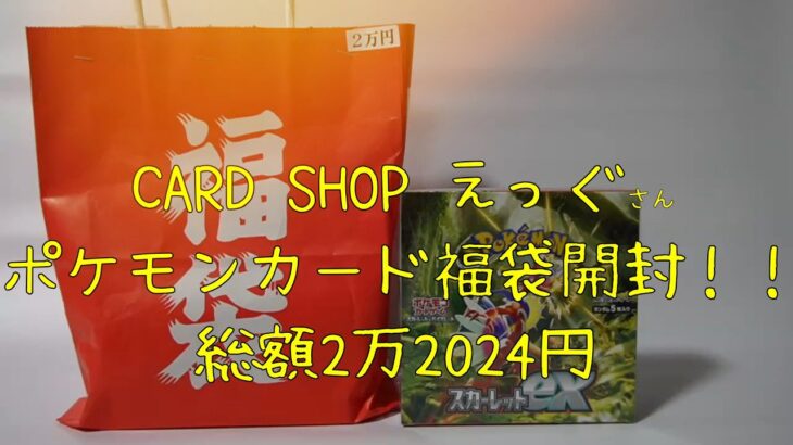 カードショップえっぐさんのポケカ2万円福袋を開封！！(VOICEVOX)