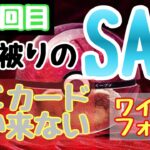 【ポケカ】とん吉のBOX開封第１０あれ？？俺が開けるBOXって…「ワイルドフォース」