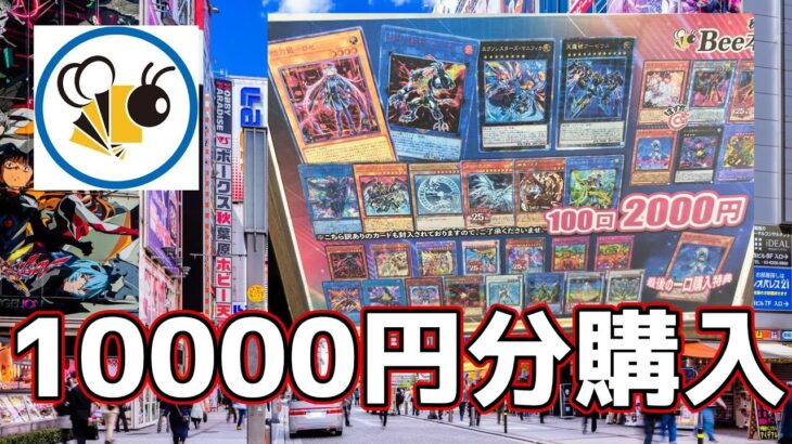 【#遊戯王】Bee本舗秋葉原店の2000円オリパ開封！＆アジア版カード紹介していく【#開封動画】【YU-GI-OH】