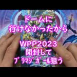 【遊戯王】WPP2023開封してﾌﾞﾗﾏｼﾞｶﾞｰﾙを狙う