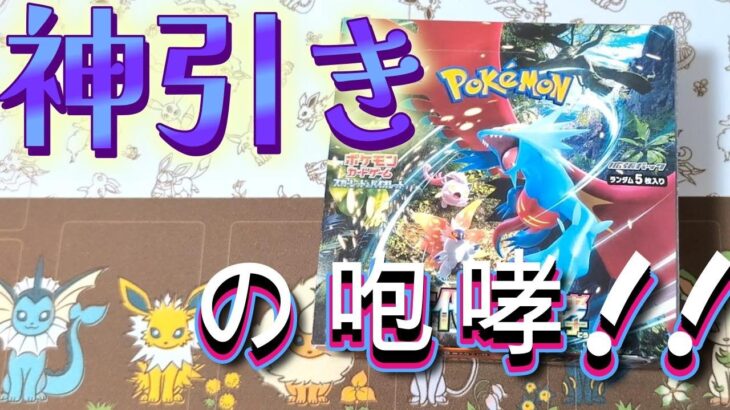 【ポケカ】これぞ神引きの咆哮!!【開封】