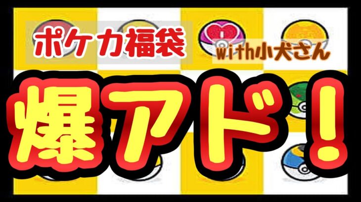 【ポケカ】とん吉の福袋開封　これは爆アド！？持ってないカードが勢揃い「小犬さんの福袋」