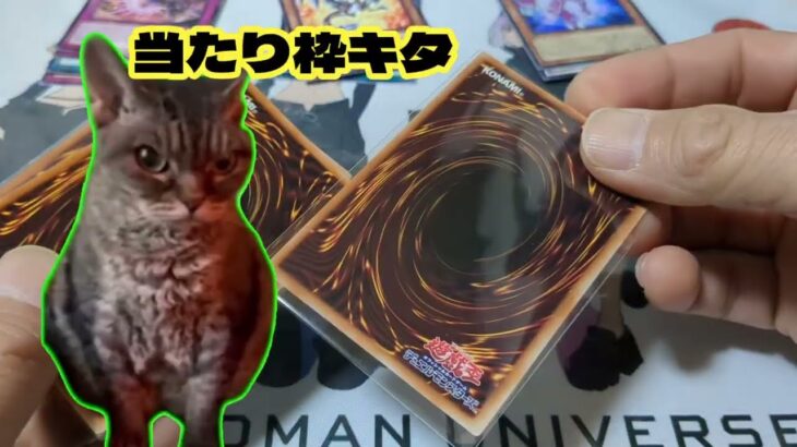 【#遊戯王】猫ミーム達と一緒に開封する地元ガチャ