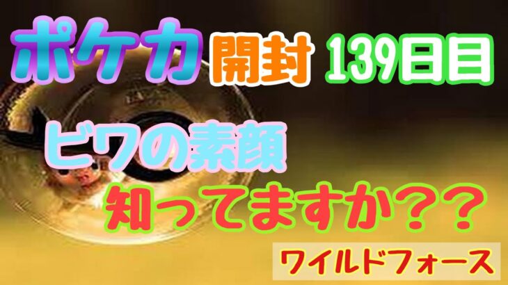 【ポケカ】とん吉の毎日開封１３９日目素顔可愛いってマジ？？「ワイルドフォース」