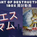【遊戯王】ライトオブデストラクション 1BOX 開封 絶版