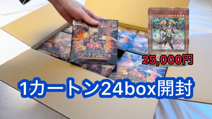 レガシー・オブ・デストラクション24box開封　LEGACY OF DESTRUCTION