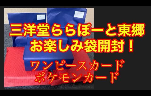 【ポケカ】【ワンピースカード】三洋堂らららぽーと東郷店さんのお楽しみ袋　3種類開封！！！