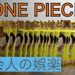 社会人の暇つぶし【ONE PIECE 500年後の未来開封】してみたけど、なんそれ？