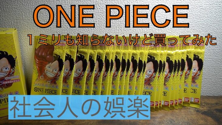 社会人の暇つぶし【ONE PIECE 500年後の未来開封】してみたけど、なんそれ？