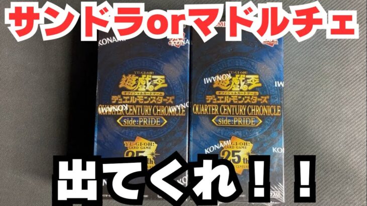 【遊戯王】今日もPRIDE開封するで！被り無しで頼むわ！