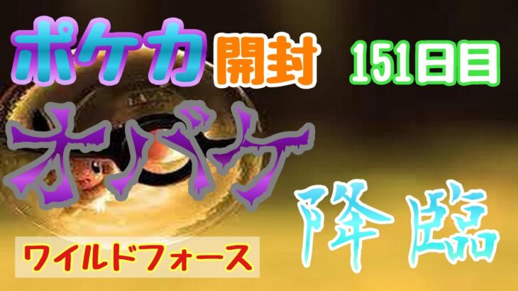 【ポケカ】とん吉の毎日開封１５１日目集まりつつあるカードたち！「ワイルドフォース」