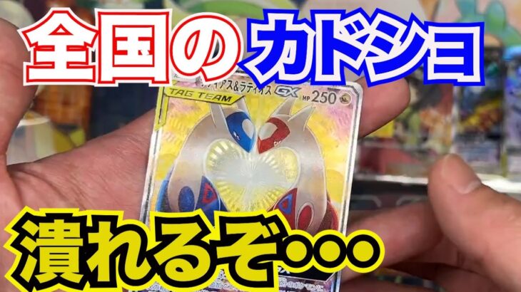 【好評企画】ポケモンカードが安すぎる！仕入れたカード紹介！高騰前に集めたいカードが多すぎる！