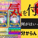 【ポケカ/オリパ開封】危険な謎オリパに手を出したくなるのは何で？