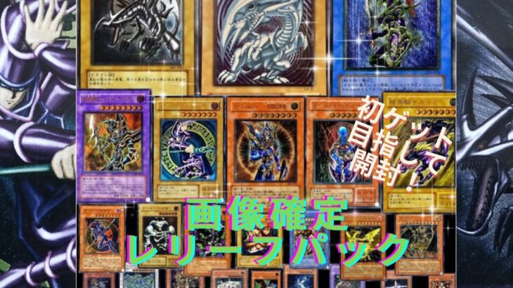 【遊戯王】画像のレリーフ確定パックで未所持のカードがついに【 レリーフ確定】