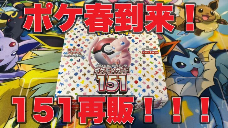 【ゆるっと開封】再販されたポケモンカード151を開封！念願の再販！マスボはなにがあたる？【ポケカ】