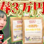 【ポケカ】正月に買った3万円福袋を開封したら激アツすぎたんだが⁉︎⁉︎【開封動画】