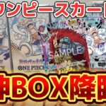 【奇跡再び…！！】新時代の主役を4BOX開封したら発狂した w  【ワンピースカード】