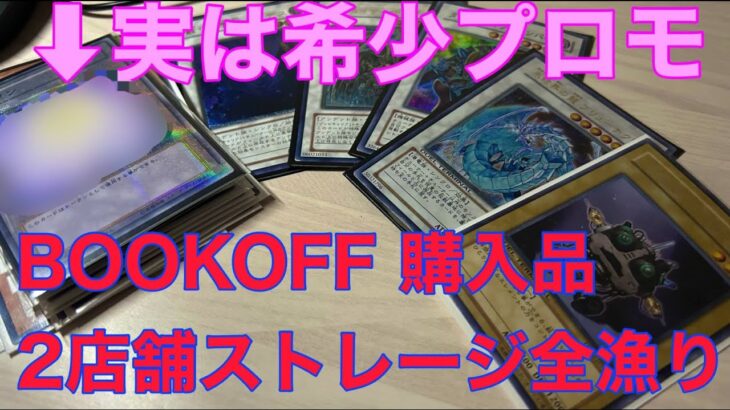 【遊戯王　購入品紹介】レア物発掘 懐物多数 BOOKOFF 2店舗のストレージ全漁り リミデッドデュエル用　【遊戯王　レリーフ　旧　絶版】