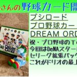 【開封動画】プロ野球カードゲーム DREAM ORDER  ベイスターズスタートデッキと2024 Vol.1セリーグ拡張パックをたしなむ。【野球カード】