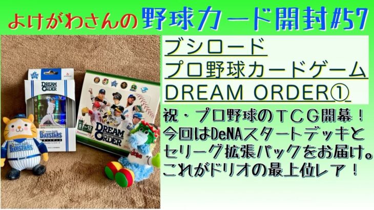 【開封動画】プロ野球カードゲーム DREAM ORDER  ベイスターズスタートデッキと2024 Vol.1セリーグ拡張パックをたしなむ。【野球カード】