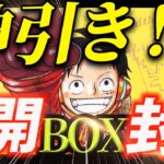 【開封動画】ONE PIECEカード　「500年後の未来」　まさかの神引き！！