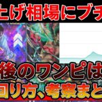 【トレカ投資】吊り上げ相場になったワンピースカードにブチ切れ。今後の立ち回り、考察まとめ【One Piece TCG  Investment】