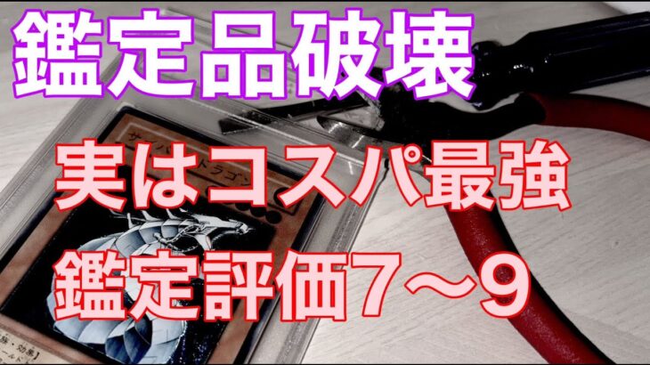 【遊戯王　鑑定品】実はコスパ最強説‼ psaケース破壊＆状態を詳しく確認　鑑定品の評価7～9はコスパ最強説 psa7編【遊戯王　初期　旧レリーフ　psa　カード鑑定】