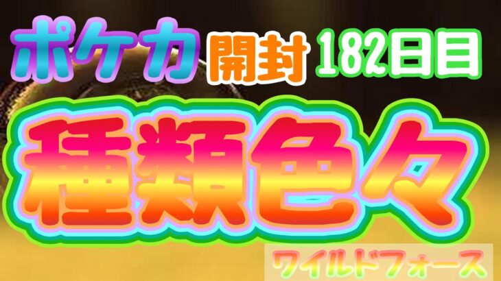 【ポケカ】とん吉の毎日開封１８２日目ちょっと勝った！！「ワイルドフォース」