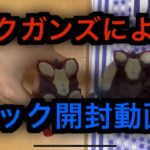 【暁ノ蕾】ズクガンズによるポケカパック開封動画【ポケモンカードゲーム】