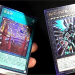 [遊戯王]  色々買ったらレリーフがアツすぎた [購入カード紹介]