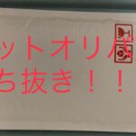 【遊戯王】ネットオリパぶち抜いて、我の心もぶち抜かれ‼︎