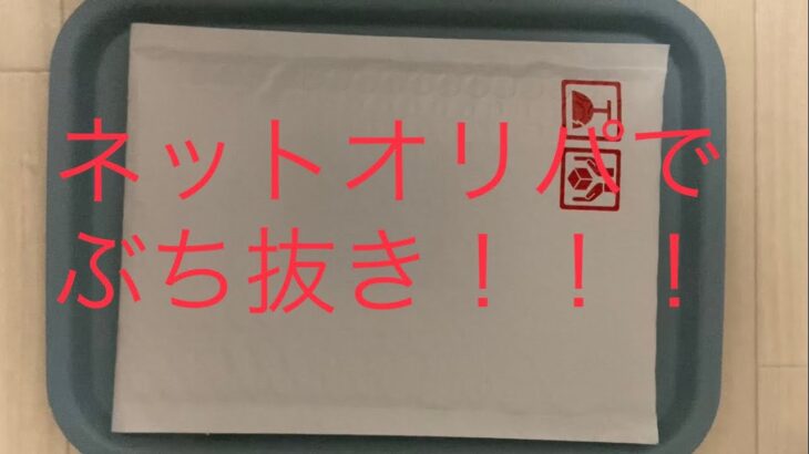 【遊戯王】ネットオリパぶち抜いて、我の心もぶち抜かれ‼︎