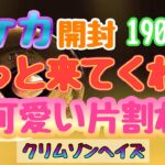 【ポケカ】とん吉の毎日開封１９０日目この子を待ってました！！！「クリムゾンヘイズ」