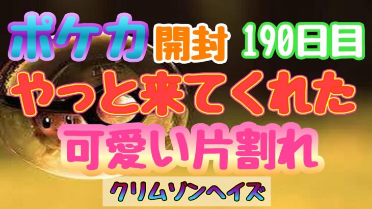 【ポケカ】とん吉の毎日開封１９０日目この子を待ってました！！！「クリムゾンヘイズ」