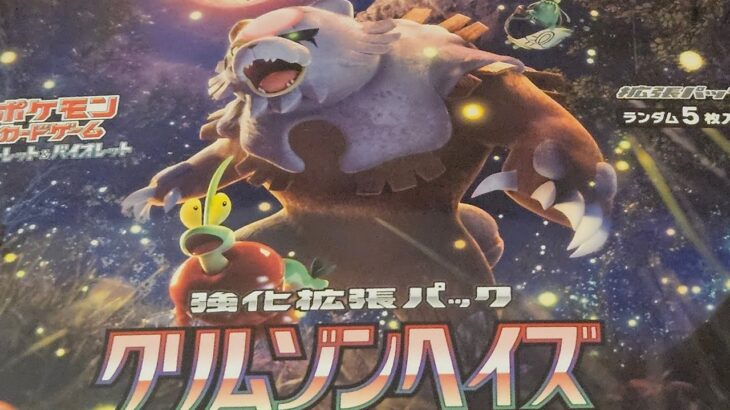 ポケカ クリムゾンヘイズ開封♪　変幻の仮面は抽選全て外れました。今回も頑張ってパック探しするぞ♪